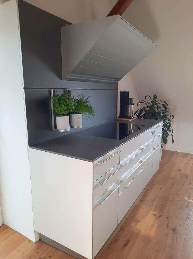 Luxurioeses Loft Mit Schoenem Blick Tremsbüttel Exteriér fotografie